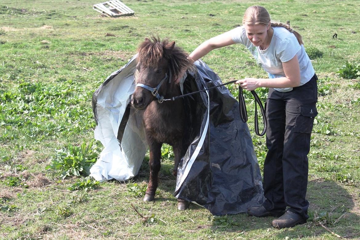 Anden særlig race Malou<3  - øver agility uden for billede 17
