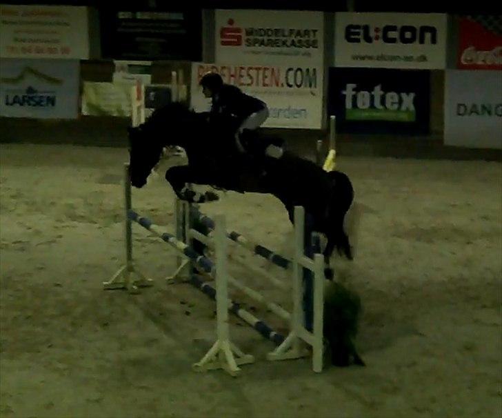 Dansk Varmblod Gørklintgårds Sandor - U-LB* - FRRK c-stævne Oktober 2011 billede 17