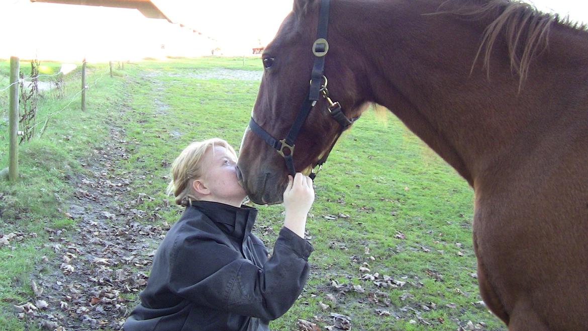 Oldenborg Mandonna billede 1