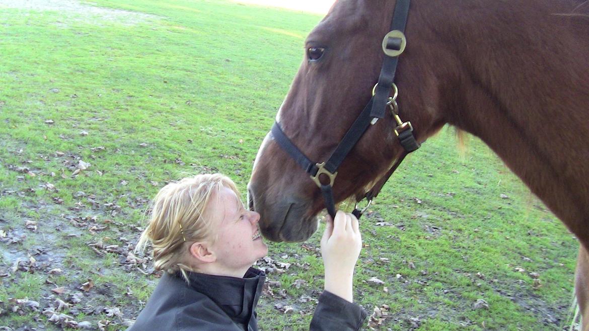 Oldenborg Mandonna billede 2