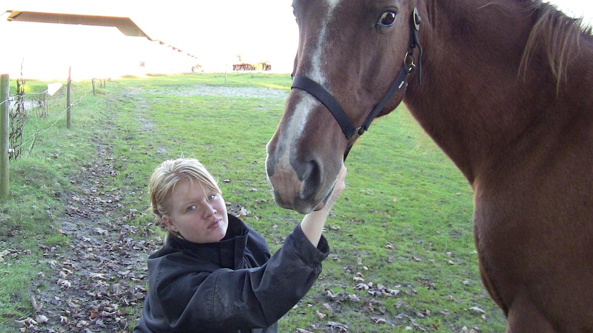 Oldenborg Mandonna billede 4