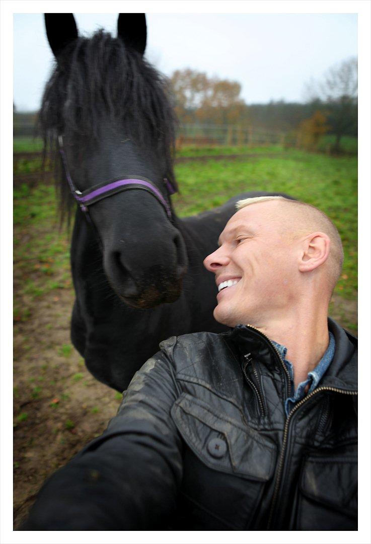 Frieser Derik af Sortemosegaard billede 10