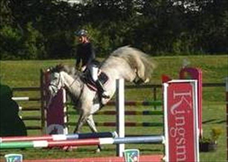 Holstener Unicorn choise - Ikast maj 2009- FOTO: ET billede 18