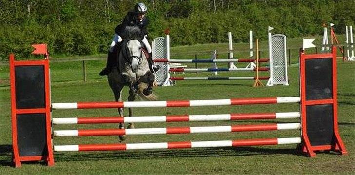 Holstener Unicorn choise - Ikast maj 2009- FOTO: ET billede 20