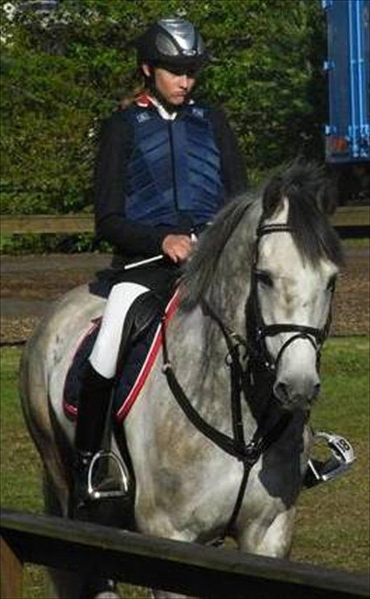 Holstener Unicorn choise - Ikast maj 2009- FOTO: ET billede 3