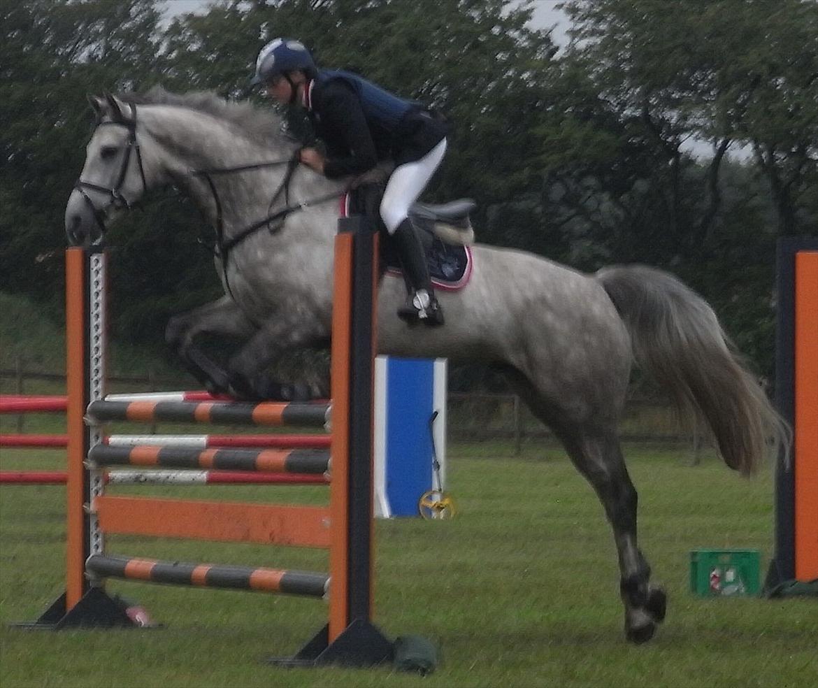 Holstener Unicorn choise - Løgstrup august 2009 - FOTO: ET billede 21