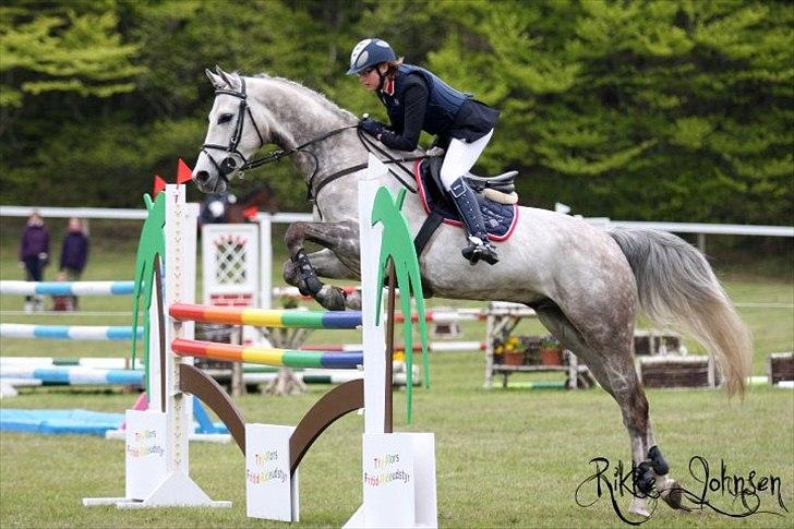 Holstener Unicorn choise - Morsø maj 2010 - FOTO: Rikke Johnsen billede 22