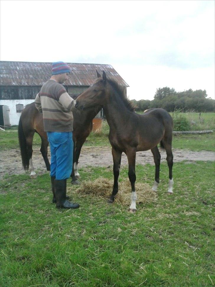Oldenborg Annebell billede 9
