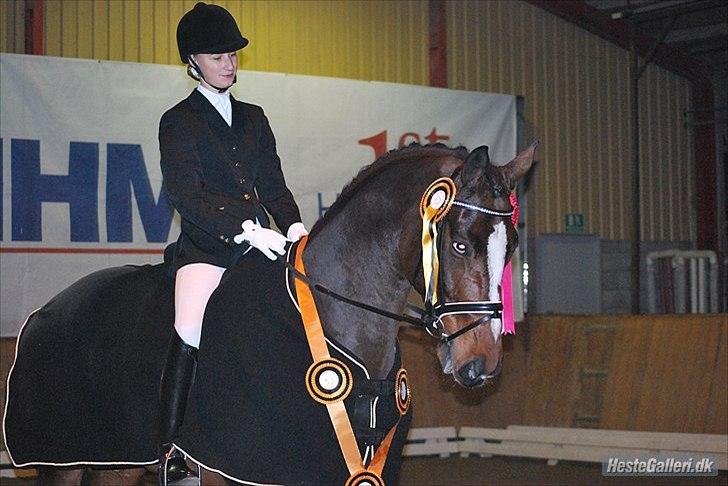 Dansk Varmblod May Candeloro - Sjællandsmester for junior 2011 billede 14