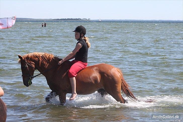 Anden særlig race Hur's Blundy *my soulmate* R.I.P - Skulle lige have noget mad med i vandet billede 5