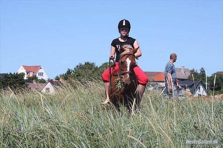 Anden særlig race Hur's Blundy *my soulmate* R.I.P - Ja så står vi her billede 6