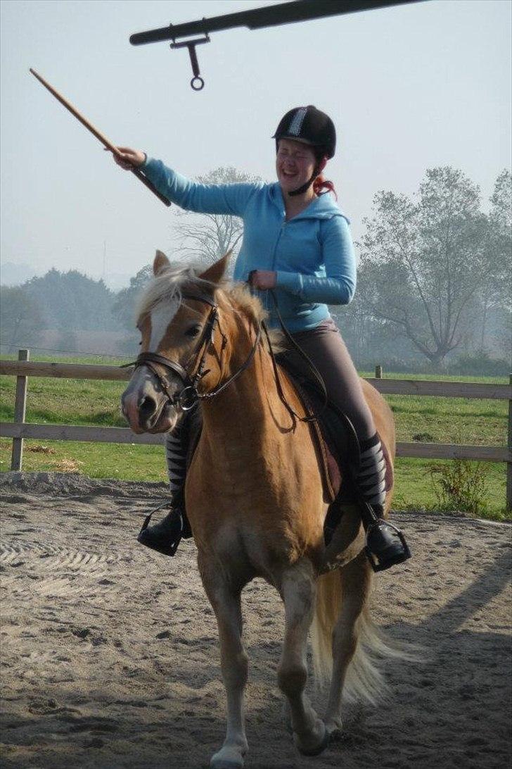Haflinger Alida - Jeg fik en 2 plads!<3 billede 10