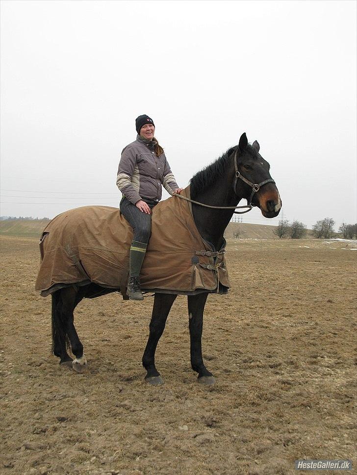 Anden særlig race Teddy - på vej ind fra folden forår 2011 billede 11