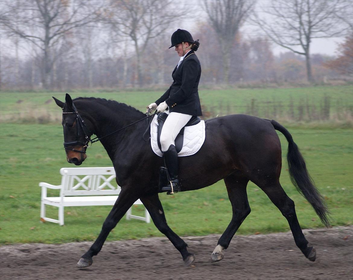 Anden særlig race Teddy - Stævne i Åstrup LB3 og LA1 billede 18