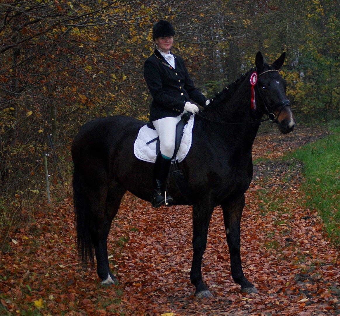 Anden særlig race Teddy - vi vandt LB3 med 65% i Åstrup billede 19