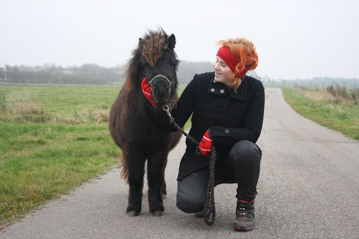 Shetlænder Ejstrups Mirakel - Stolt ejer 
d. 09-11-2011 billede 10