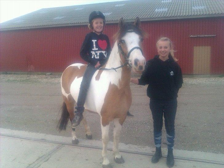 Anden særlig race Hedegaardens Savannah - første ridetur på Savannah her hjemme :D<3 billede 3