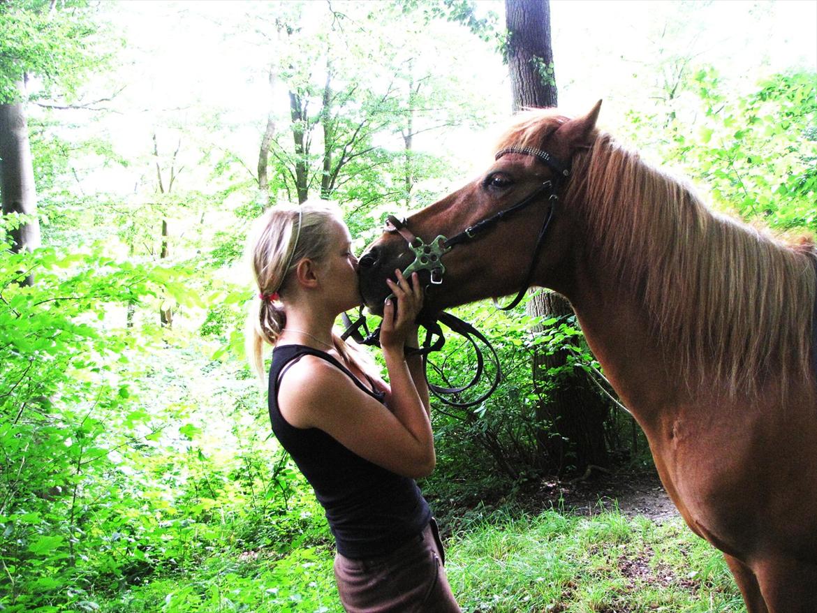 Islænder Silja fra Bogens  - En lille mysser til den smukke, dagen efter jeg havde været i England i 21 dage uden hende  :i  billede 6