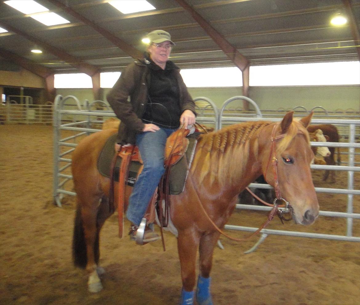 Quarter Are U Whiz Me - Kvægclinic på Alhambra billede 10