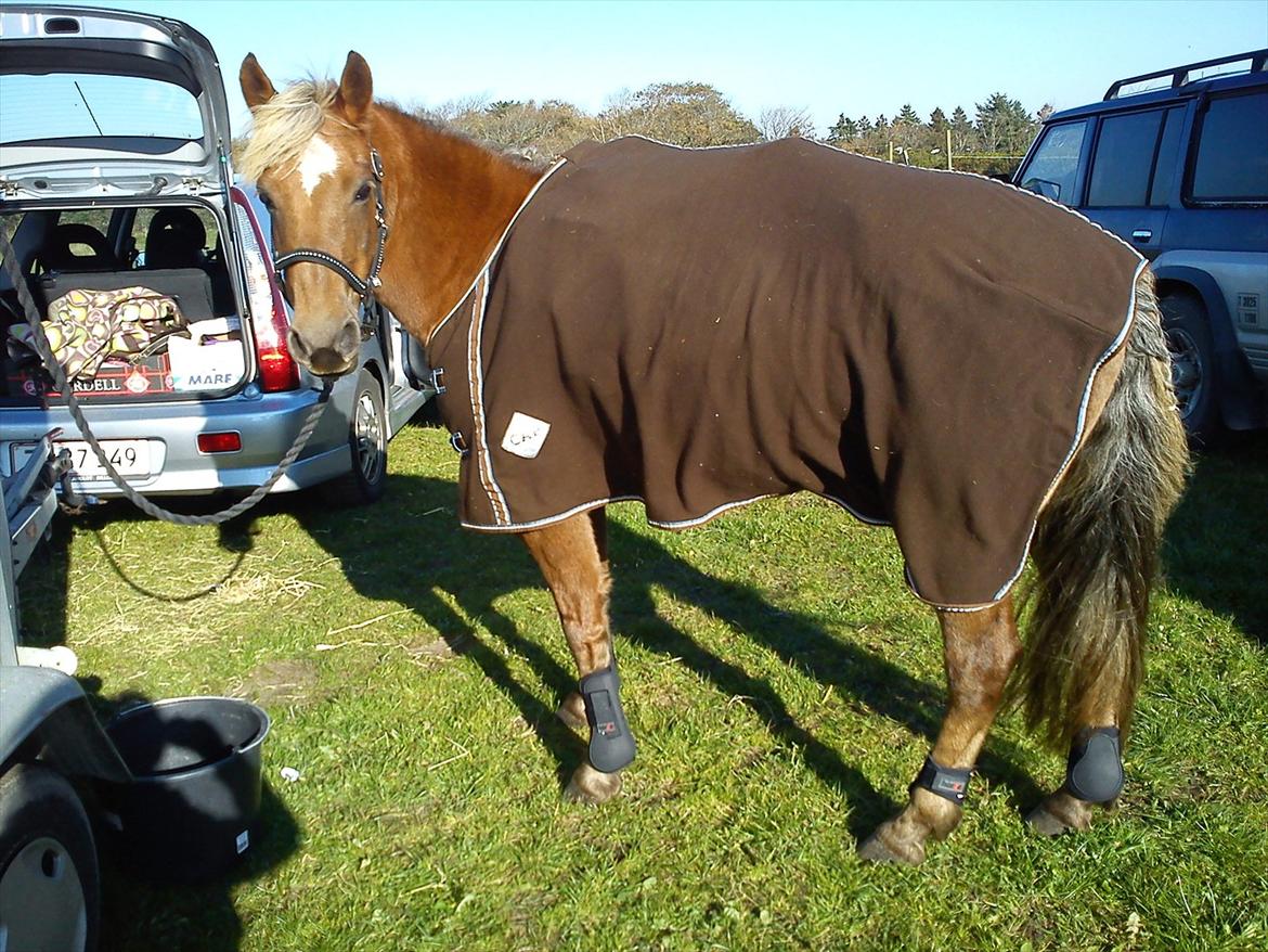 Anden særlig race Beauty - Beauty og mig efter stævne hvor vi vandt:

LC: 2. plads
LB 3. plads :** billede 5