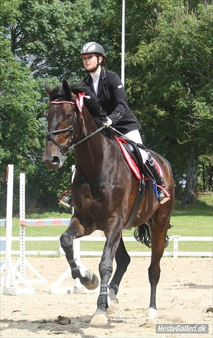 Selle Francais Aiglon rouge *Fars* leveret tilbage:( - du er så smuk

foto tidligere ejer 2010 billede 14