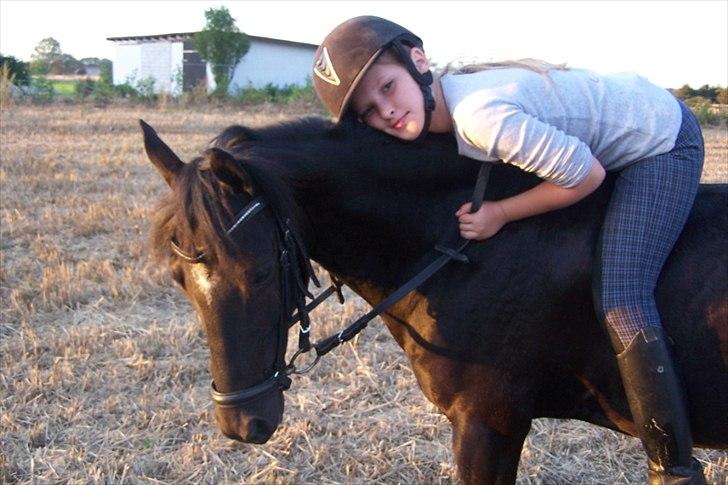 Welsh Pony af Cob-type (sec C) Broderigårdens Prins Ponto den ( s )kønne<3 - krammer til min dejlige ponz

foto: mor 2011 billede 8