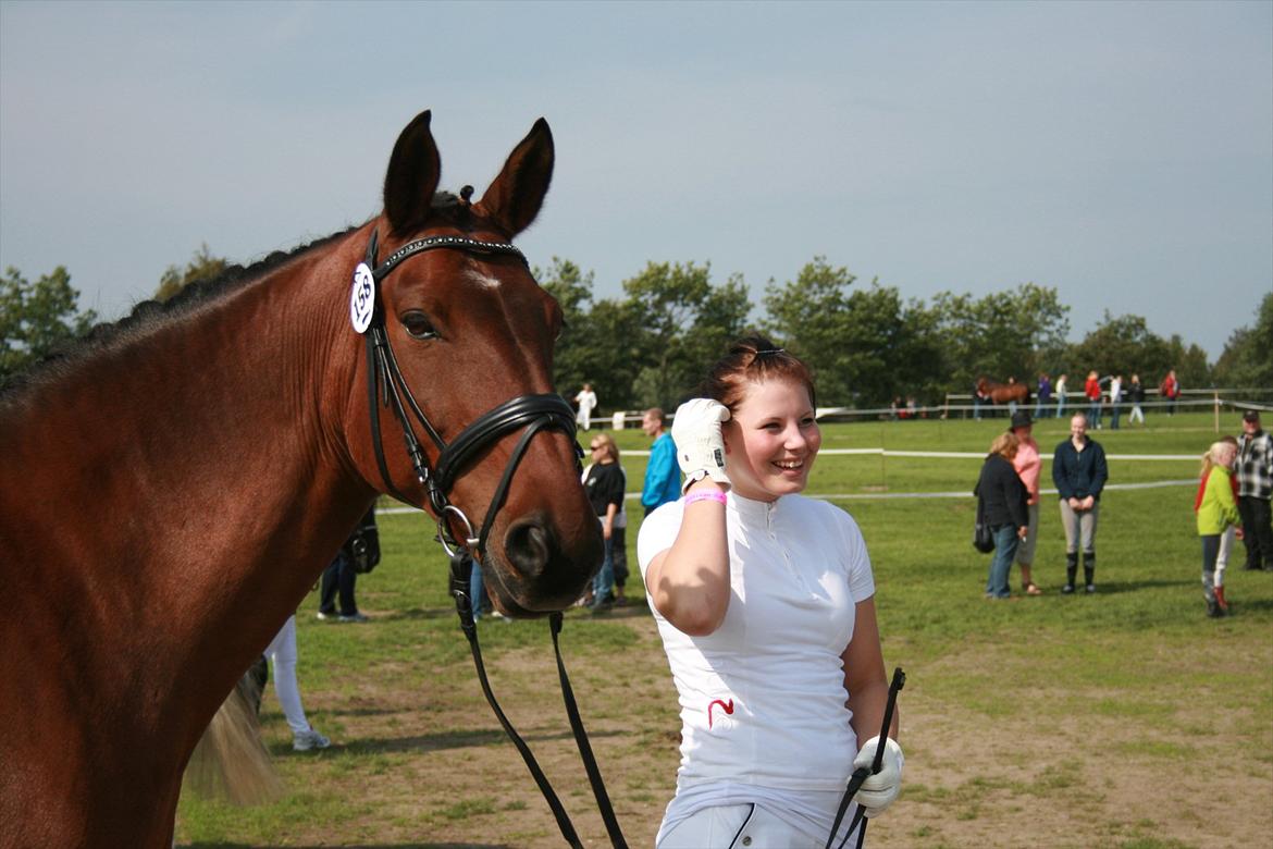 Oldenborg Vladimir - Stor hestedag 2011 billede 14