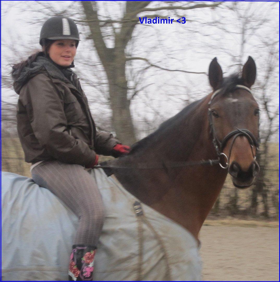 Oldenborg Vladimir - Genoptræning eftre Hovbyld.. billede 19