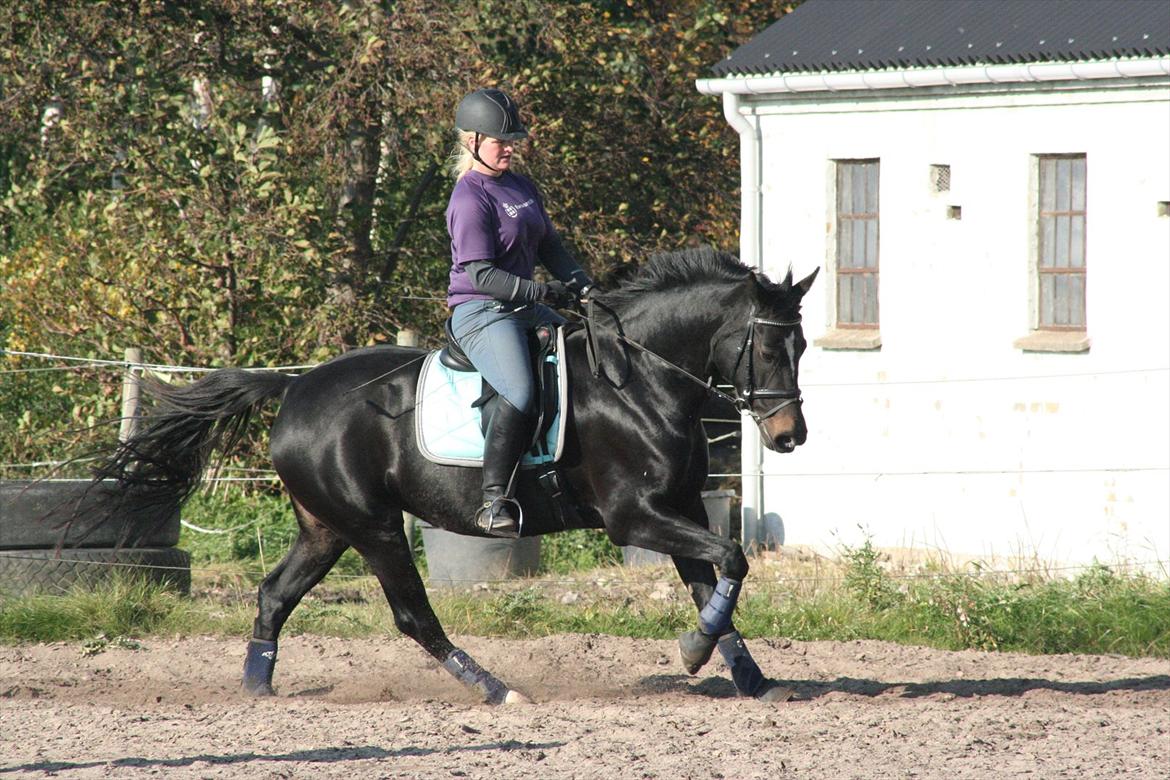 Oldenborg Tien Shan - Til undervisning hos Dennis Holst 23/10-11 billede 2