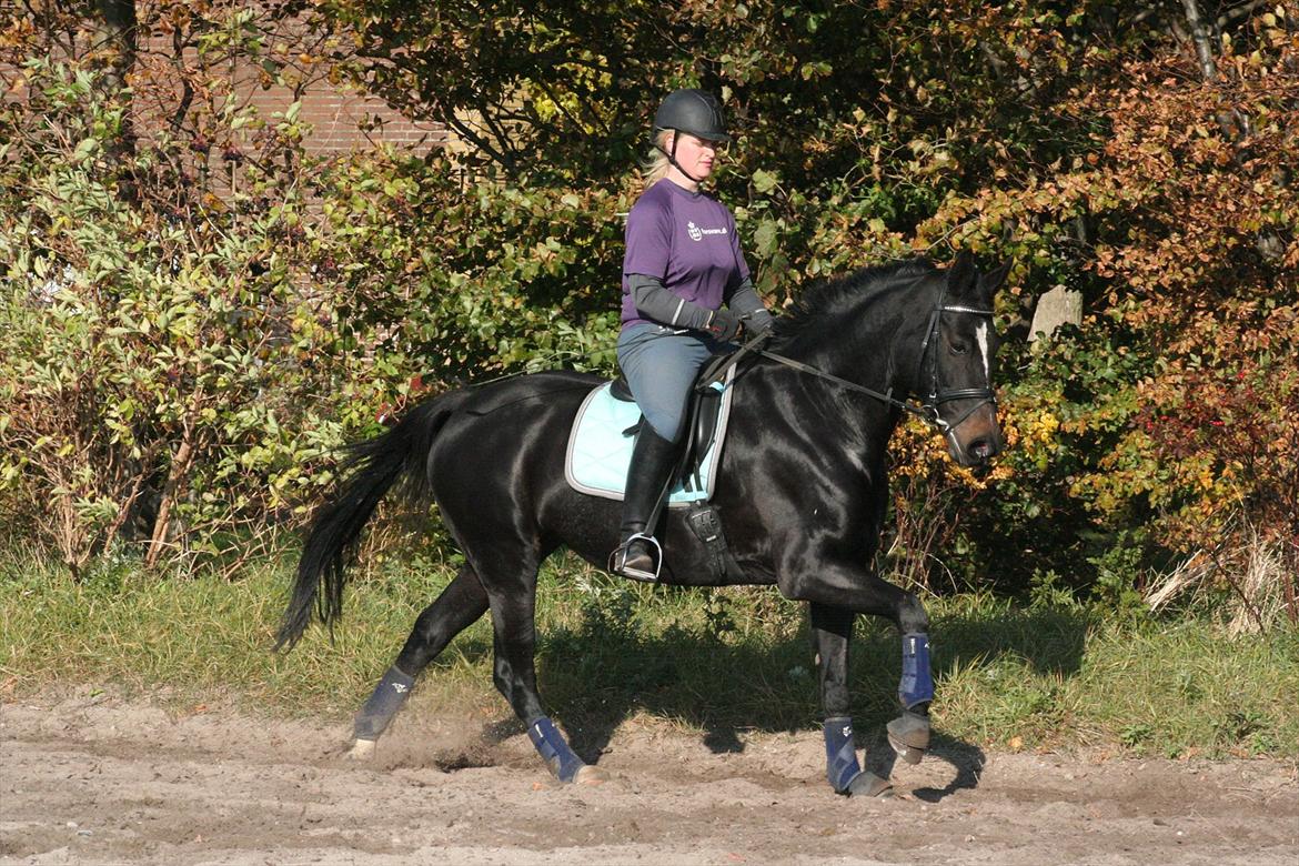 Oldenborg Tien Shan - Til undervisning hos Dennis Holst 23/10-11 billede 4