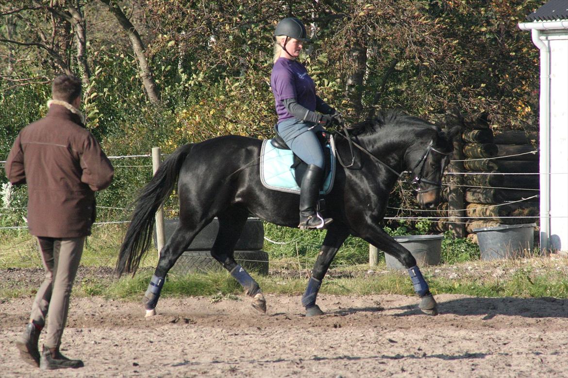 Oldenborg Tien Shan - Til undervisning hos Dennis Holst 23/10-11 billede 6