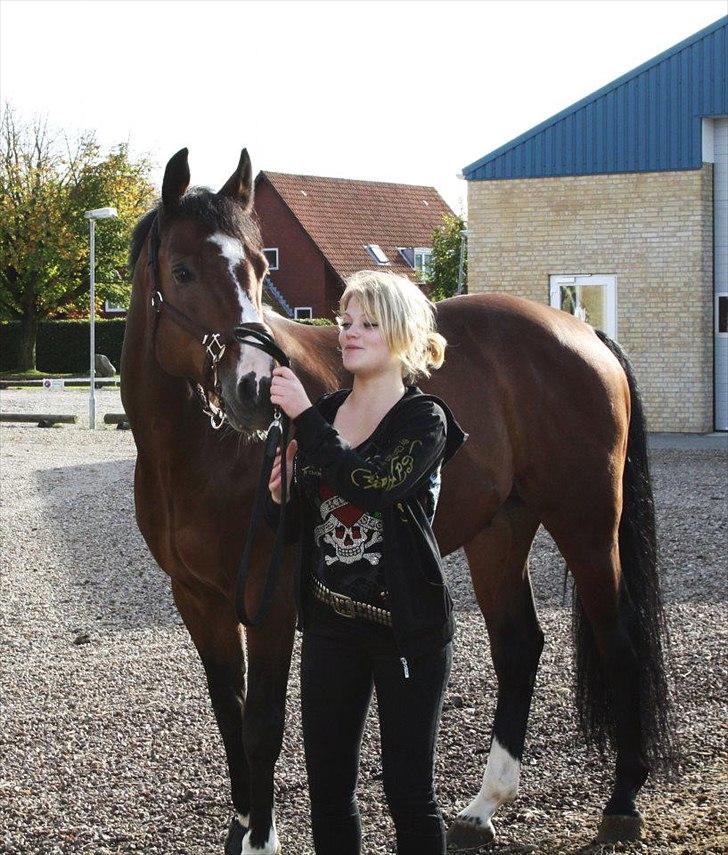 Dansk Varmblod Que Vadis <3 - Min dejlige og smukke bubbii bjørn *-:! billede 11