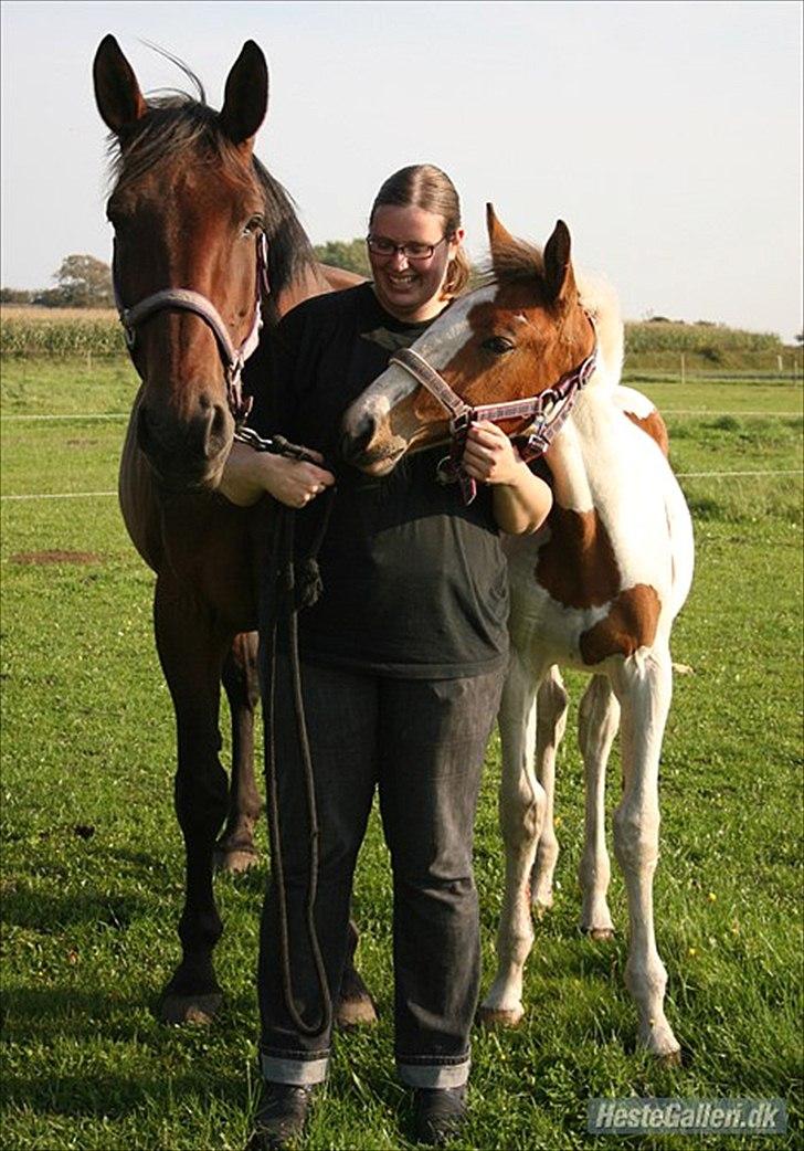 Anden særlig race | Iberia S 3 | - Ib, Marianne og Ib's føl, Love Never Dies. Virkelig smukt billede. Lånte lige dit billede marianne. Håber det er ok. ;D billede 19