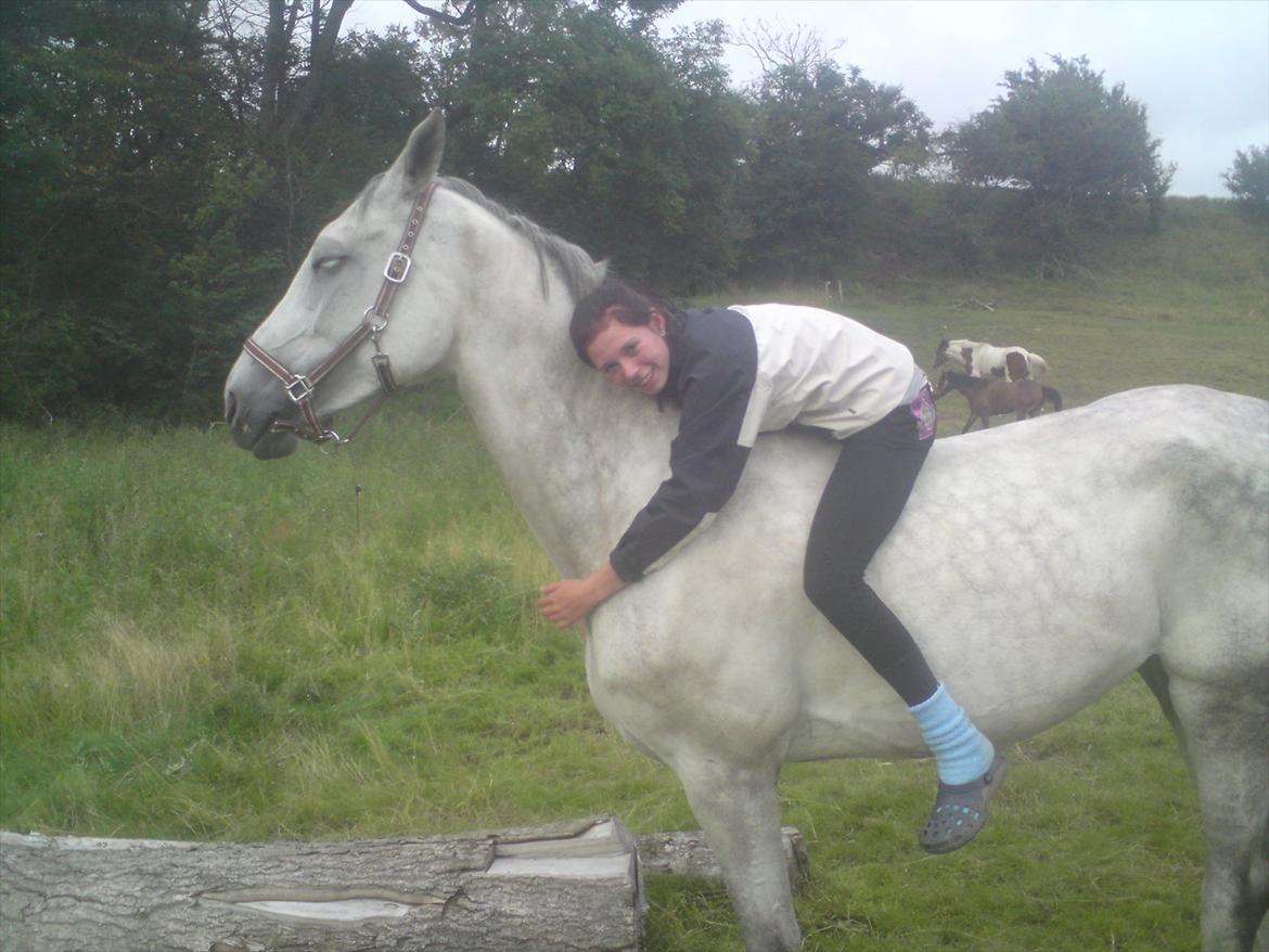 Holstener Uganda (Baby) billede 17