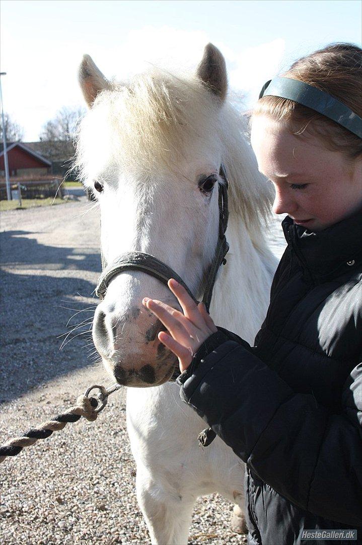 Anden særlig race PIPPI.. Sov sødt prinsesse - snart 4 år.. <3 billede 2