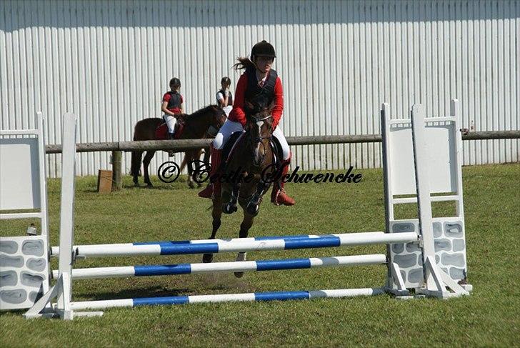 Anden særlig race FlyingSuprice A-pony billede 13