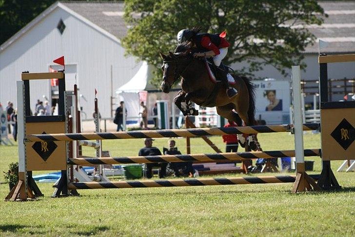 Anden særlig race FlyingSuprice A-pony billede 15