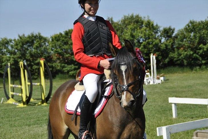 Anden særlig race FlyingSuprice A-pony billede 16