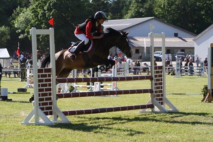 Anden særlig race FlyingSuprice A-pony billede 18