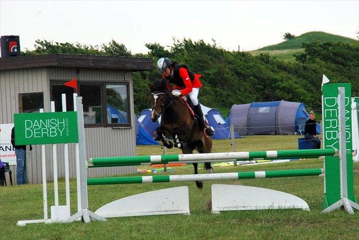 Anden særlig race FlyingSuprice A-pony billede 19