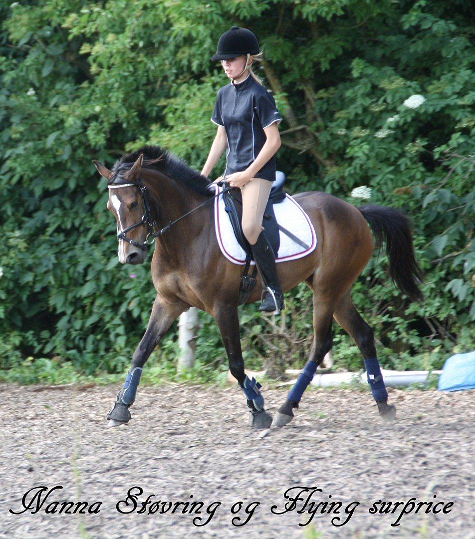 Anden særlig race FlyingSuprice A-pony billede 20