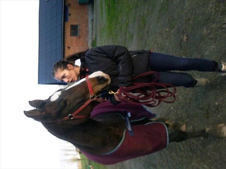 Anden særlig race imilia  SOLGT. - Mig og emilia på vej en tur i skoven :i billede 10