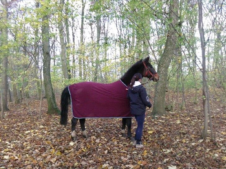 Anden særlig race imilia  SOLGT. - LÆKKERMÅSEN :i billede 12