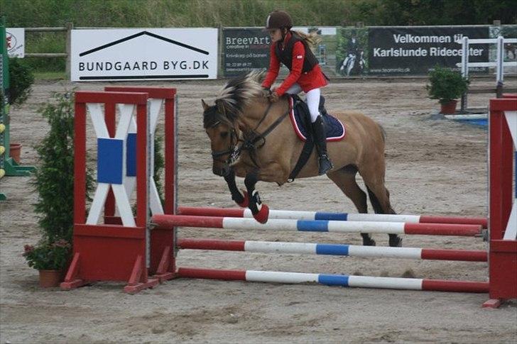 Anden særlig race Åbygårds Tornado - SPRING STÆVNE PÅ KAR OPEN  billede 10