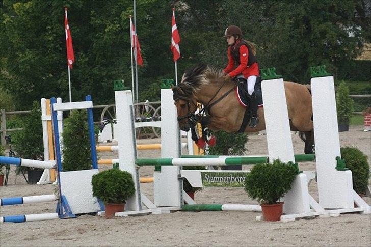 Anden særlig race Åbygårds Tornado - KAR OPEN billede 5