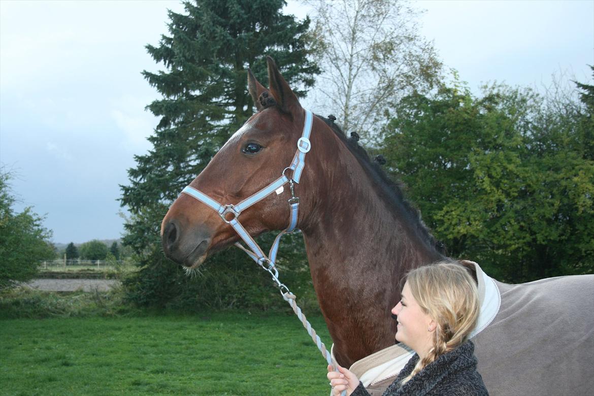 Anden særlig race Flatteur - Vi er lige kommet ud af traileren og til vores nye hjem og vores nye tilværelse.. Puuuuha! billede 4