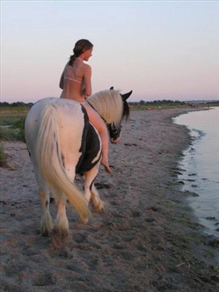Tinker Frøken Smilla - Sommeren 2005 på stranden med smilla :)  billede 11