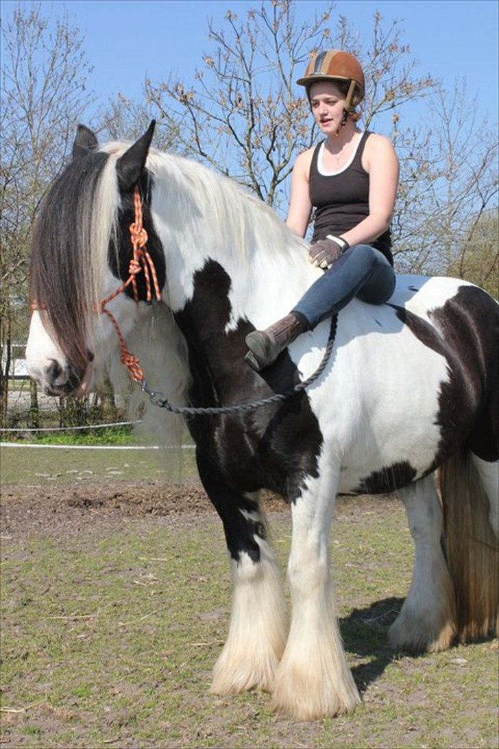 Tinker Frøken Smilla - Påsken 2011 :) vi rider lidt i rebgrimen :) billede 13