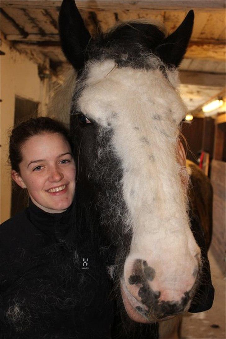 Tinker Frøken Smilla - Smilla fælder helt vildt i hovedet ;) men vi hygger <3 billede 14