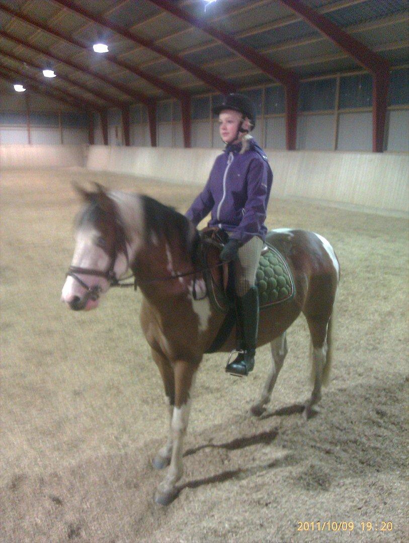 Pinto Diamond<3. - mindrøm;-*. billede 8